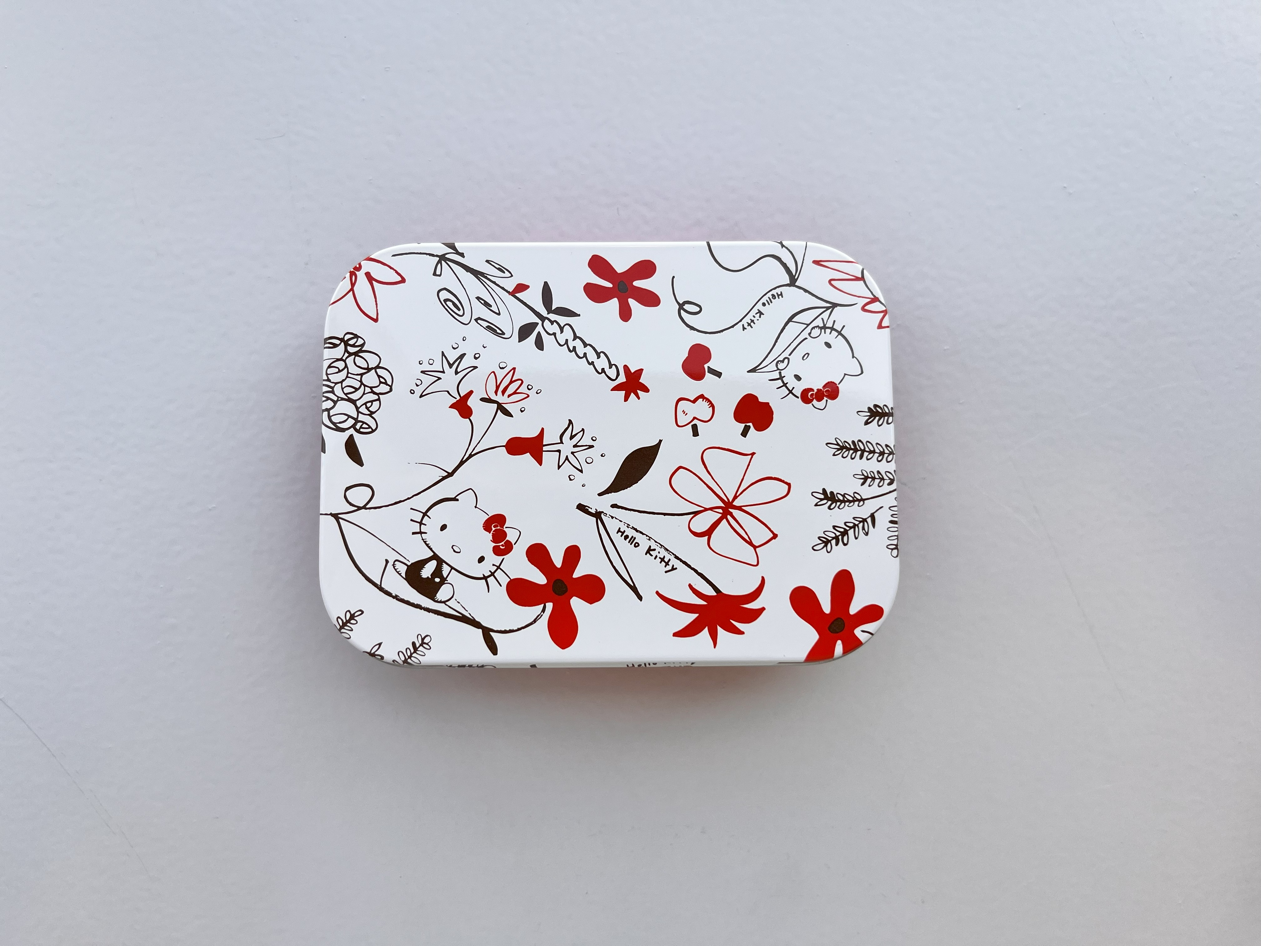 2025年11月号《特別付録》Hello Kitty [ハローキティ] 120cmUSB充電