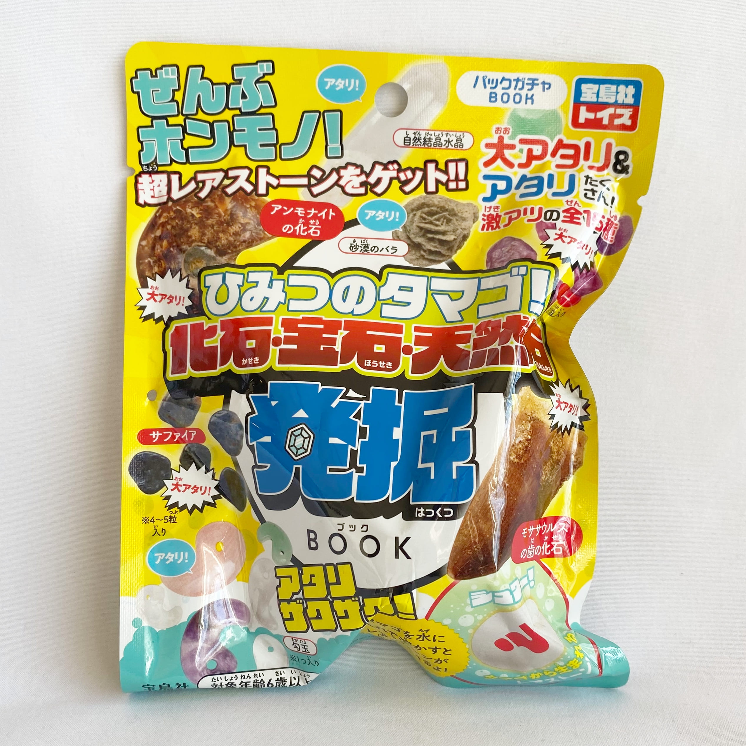 TMG たまご　卵のような石？宝石？鉱石？　詳細不明 ひみつのタマゴ！化石・宝石・天然石 発掘BOOK