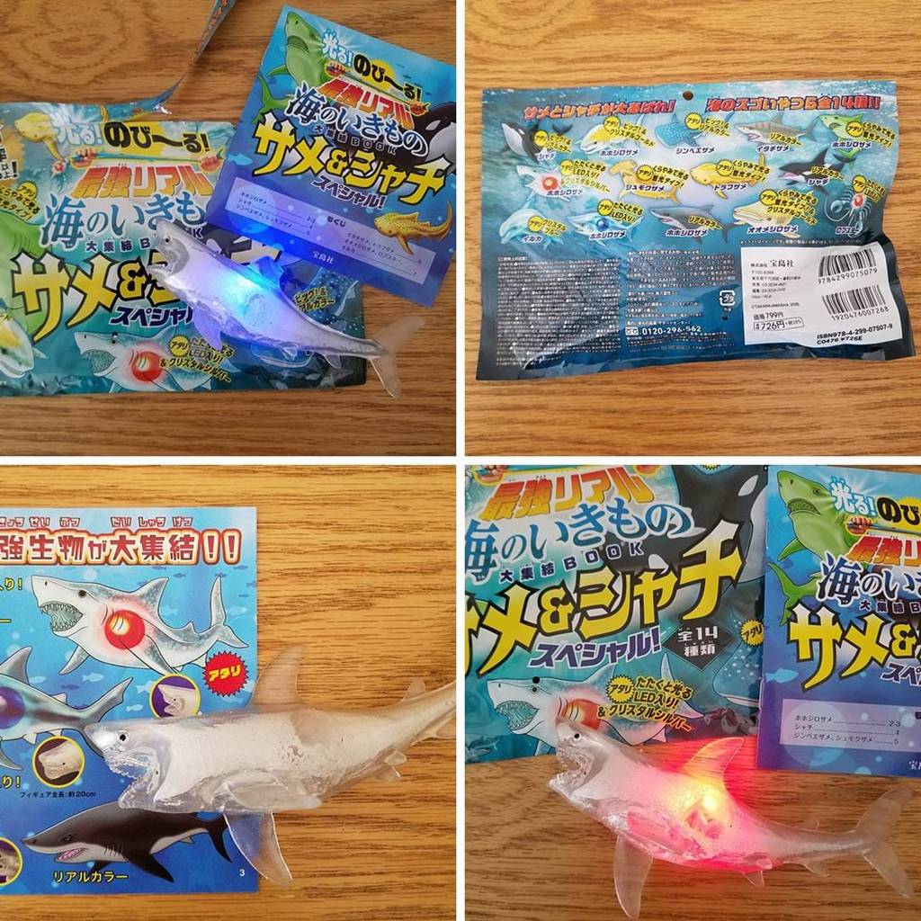 のび～る！ 最強リアル海のいきもの大集結BOOK サメ＆シャチ スペシャル！